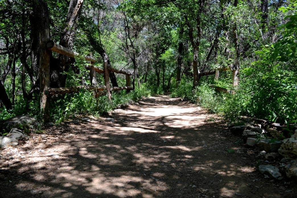 Austin runners can run on the Greenbelt, trail running is a helpful beginner running tip.