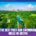 Aerial view of Barton Springs Pool surrounded by green trees, with the Austin skyline in the background and text: “The best post-run swimming holes in Austin.”. Austin Marathon Half Marathon & 5K