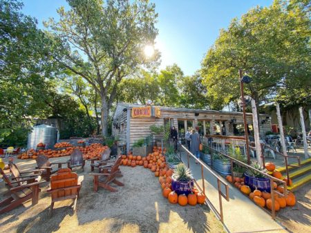 Image of Cosmic Coffee's outdoor space. Cosmic Coffee made our list of our favorite south Austin coffee shops.