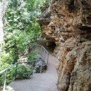 A paved pathway with metal railings winds along a rocky cliffside, surrounded by dense green trees and foliage—one of Austin’s best local routes for scenic runs or fall running, where sunlight filters through the leaves in a peaceful, shaded scene. Austin Marathon Half Marathon & 5K