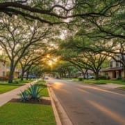 A quiet suburban street at sunset with large, leafy trees arching over the road, casting shadows on the houses and lawns—a peaceful scene often found in Austin neighborhoods along the renowned Austin Marathon course. Austin Marathon Half Marathon & 5K
